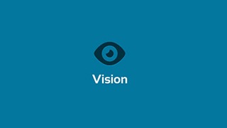 Vision